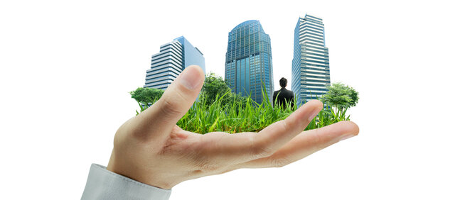 Creación de los 7 principios de la responsabilidad social empresarial