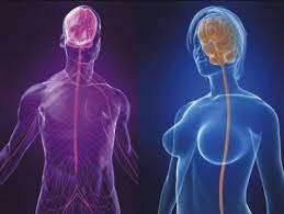 teoría de la conducta sexual humana