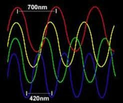 otorgan premio a Fresnel