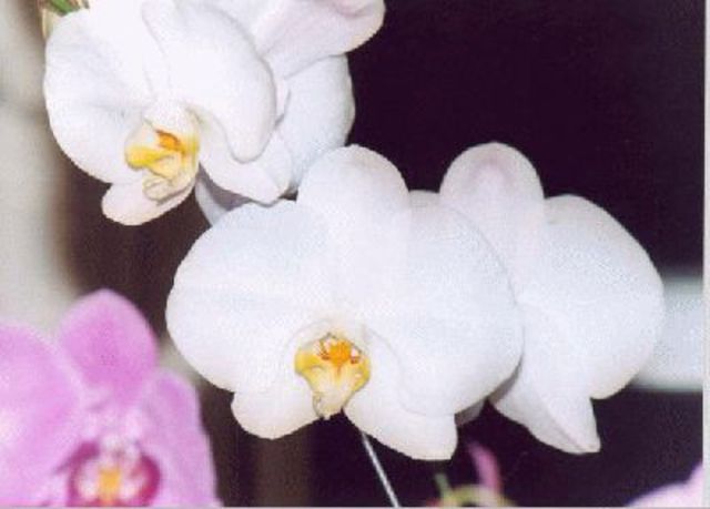 mi primer contacto con la escuela