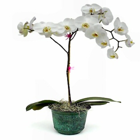 con 16 años volví a estudiar