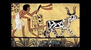 Orígenes del Comercio Internacional