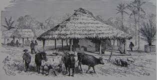 Primeras poblaciones