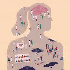 Características humanas