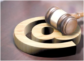 Evolución en México: Artículo 6