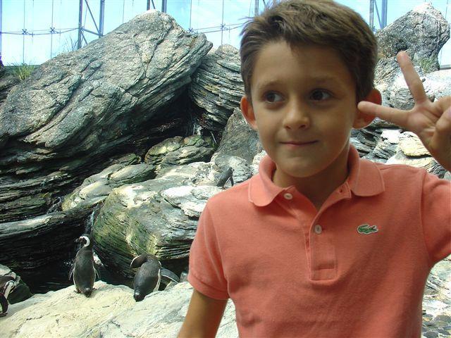 Comienzo Educación General Básica