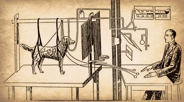 Condicionamiento clásico