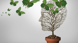 Timeline: HISTORIA DE LA PSICOLOGÍA CLÍNICA INFANTO JUVENIL