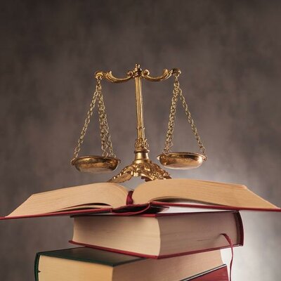 Timeline: Reforma Constitucional: Junio 2008