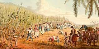 Economia Agraria