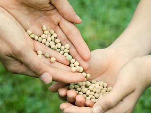 EL COMERCIO EN LA EDAD ANTIGUA