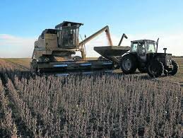 La nueva economía (agro industrial y minera)