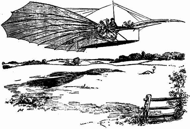 El Halcon