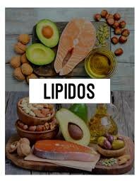 Lípido