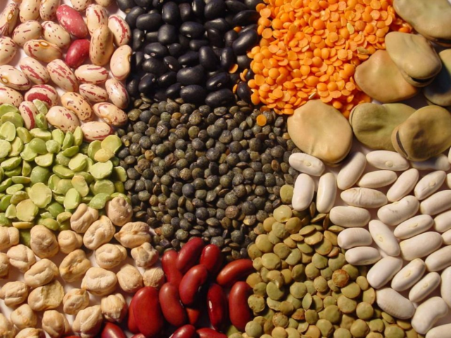 Europa: Se empiezan a plantar granos