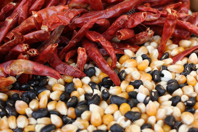 México: Maíz, los frijoles domesticados, chiles y calabaza se convirtieron en una fuente extensa del alimentoq