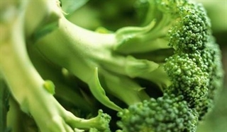 Europa: Se cultiva brócoli