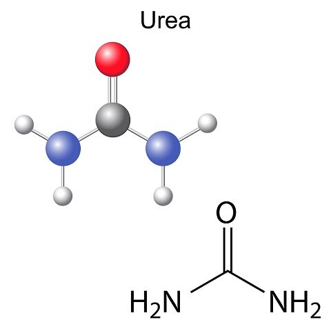 Descubrimiento de la urea