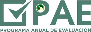 Programa anual de evaluaciones