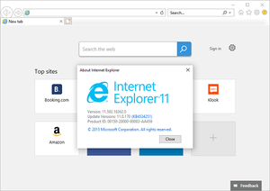 When was Internet Explorer launched? By whom?