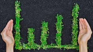 Creación del Instituto de Medición