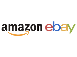 Amazon and eBay was founded when?
