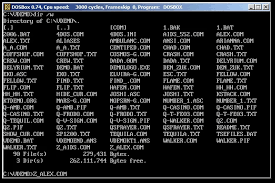 What was the first virus? When was it created?