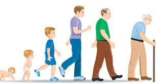 Psicología del desarrollo