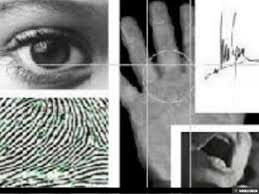 Diversos participantes