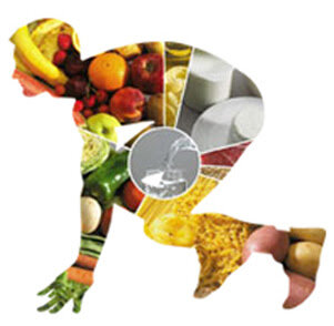 Primeros estudios científicos sobre la dieta deportiva