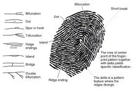 Humberto Orrego Gauthier