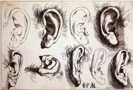 La primera identificación