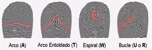 Clasificación y relieves