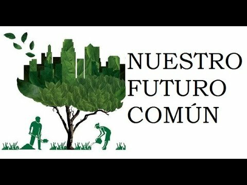 Nuestro Futuro Común