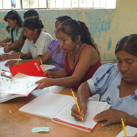 Elaboración del programa nacional de alfabetización