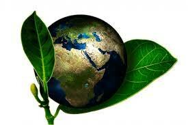 Conferencia de las Naciones Unidas sobre el Medio Ambiente y el Desarrollo