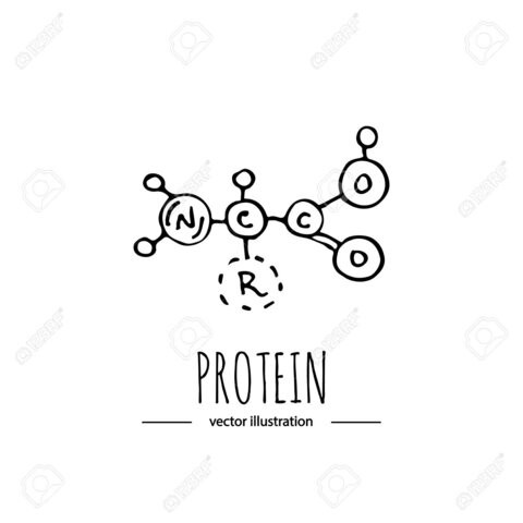 Proteína