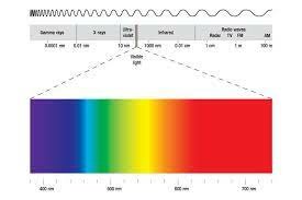 Espectro de luz roja y giberalinas en planta. H. Bortwick y L.M Chailakhian
