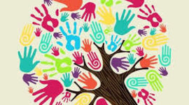 Timeline: Descubrimientos dentro el campo de la fisiologia vegetal. Encarnacion Mejia Emmanuel M y I 10:00 - 12:50