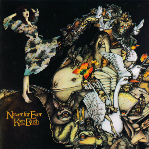 Kate Bush: Never for Ever Album Art (1980) (album artwork)