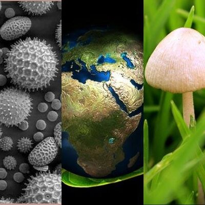 Timeline: HISTORIA DE LA BIOLOGÍA