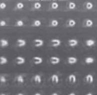 Primeras imágenes por gammágrafo