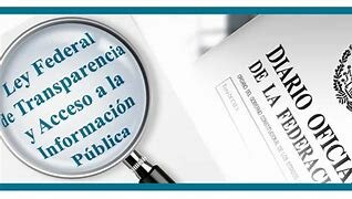 LEY FEDERAL DE TRANSPARENCIA Y ACCESO A LA IFORMACIÓN PÚBLICA GUBERNAMENTAL