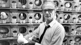 Timeline: PERSONAJE DEL CONDUCTISMO