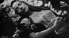 Timeline: Historia del Cine Duranguense