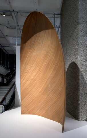 Study for a Glider Nose