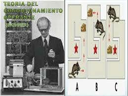 El condicionamiento operante: la búsqueda de orden