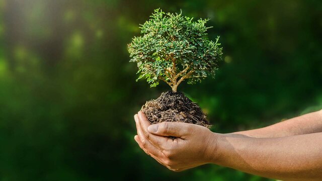 Creación de la Unión Internacional para la Conservación de la Naturaleza
