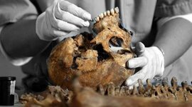 Timeline: ANTECEDENTES HISTÓRICOS SOBRE LA IDENTIFICACIÓN FORENSE