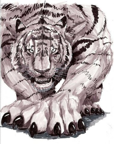 День рождения Рорри Паунд